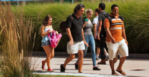 Students walk along the sidewalk in front of tall grass at SUNY Purchase