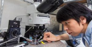 Binghamton University professor Yao-Ying Ma looks closely into powerful microsope wile holding a solution in medicine dropper.