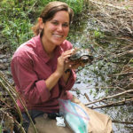 Grad Student’s Fellowship Will Help Protect Future Generations of Wood Turtles