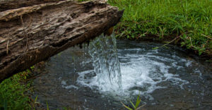 Natural water spring flows into small pond.