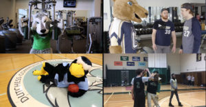 Screenshots of SUNY mascot videos