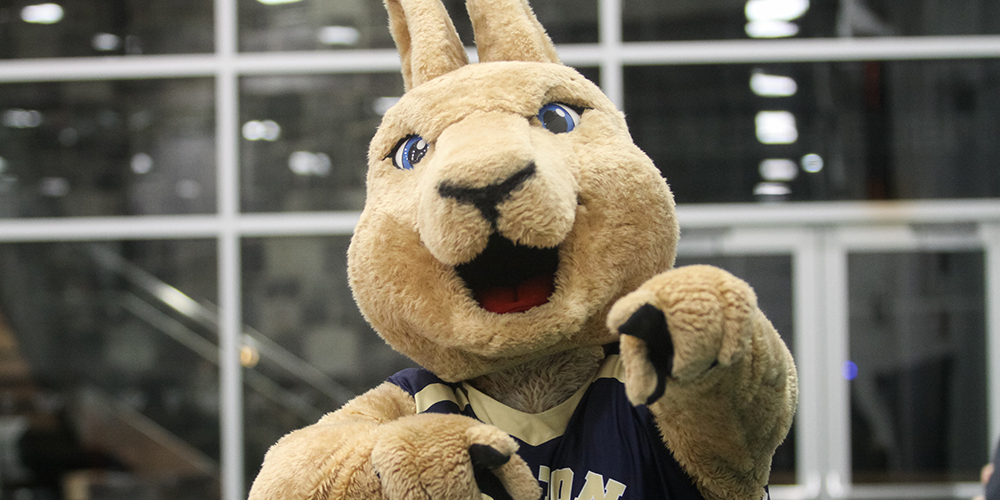SUNY Canton mascot Roody Roo pointing at the camera.