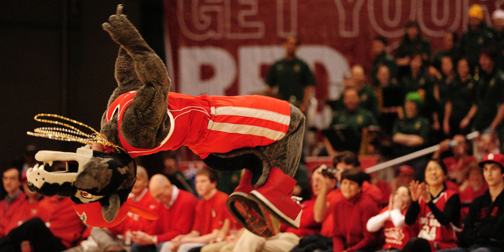 Stony Brook mascot Wolfie does a back flip on the basketball court.