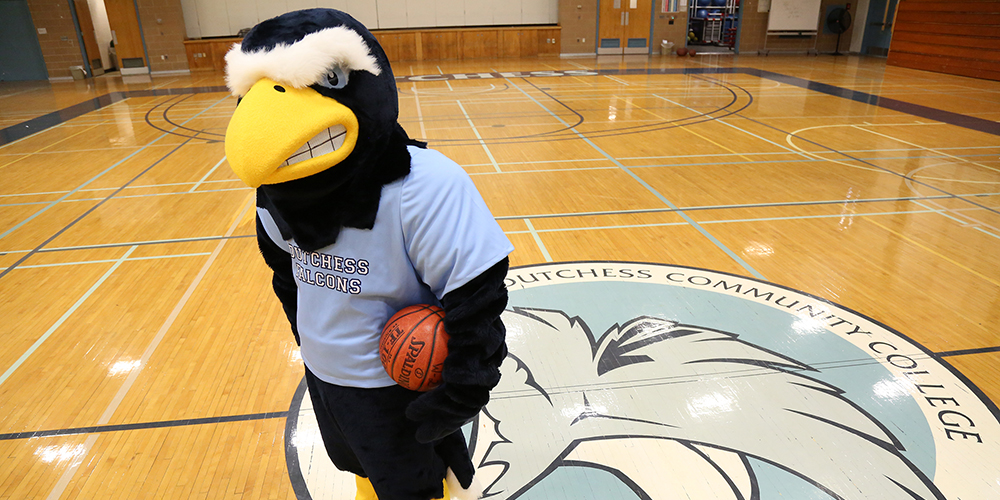 Dutchess Community College mascot Falco alone on the basketball court.