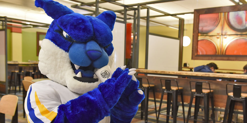 SUNY Poly mascot Walter Wildcat drinks coffee in the student lounge.