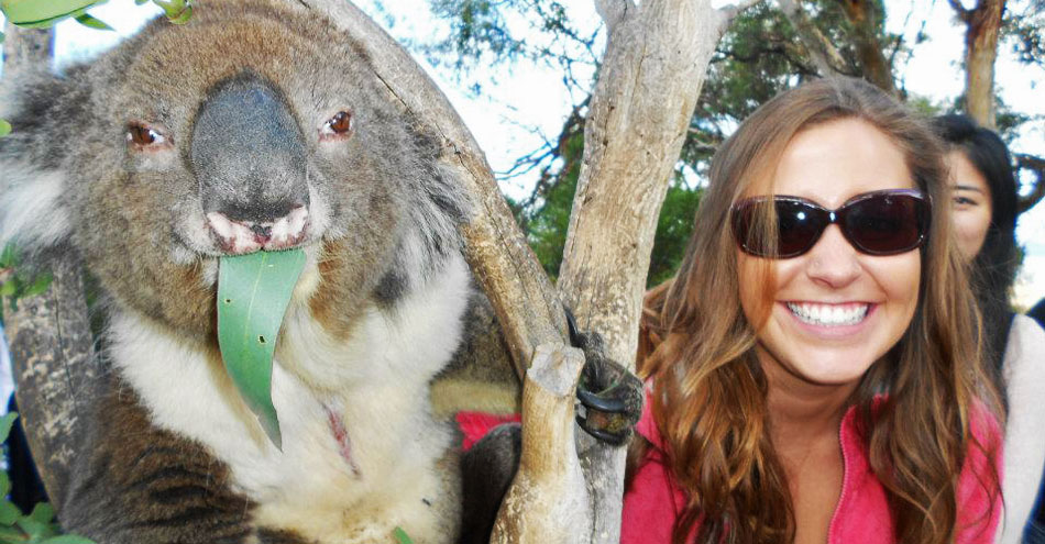 A female study abroad student stands next to a tree with a koala in it in Australia.