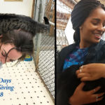 30 Days of Giving 2018 – Day 5: Paws and Effect at Binghamton University