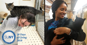 2 pictures of female Binghamton students with cats in and on them.