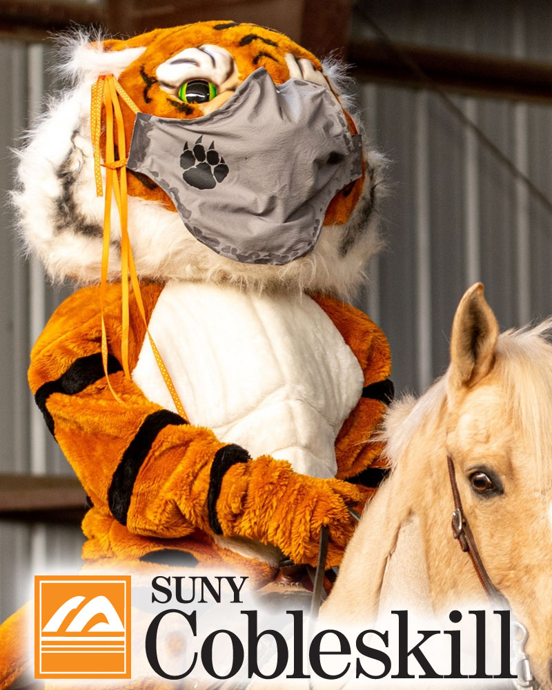 SUNY Cobleskill mascot Coby T Tiger riding a horse.