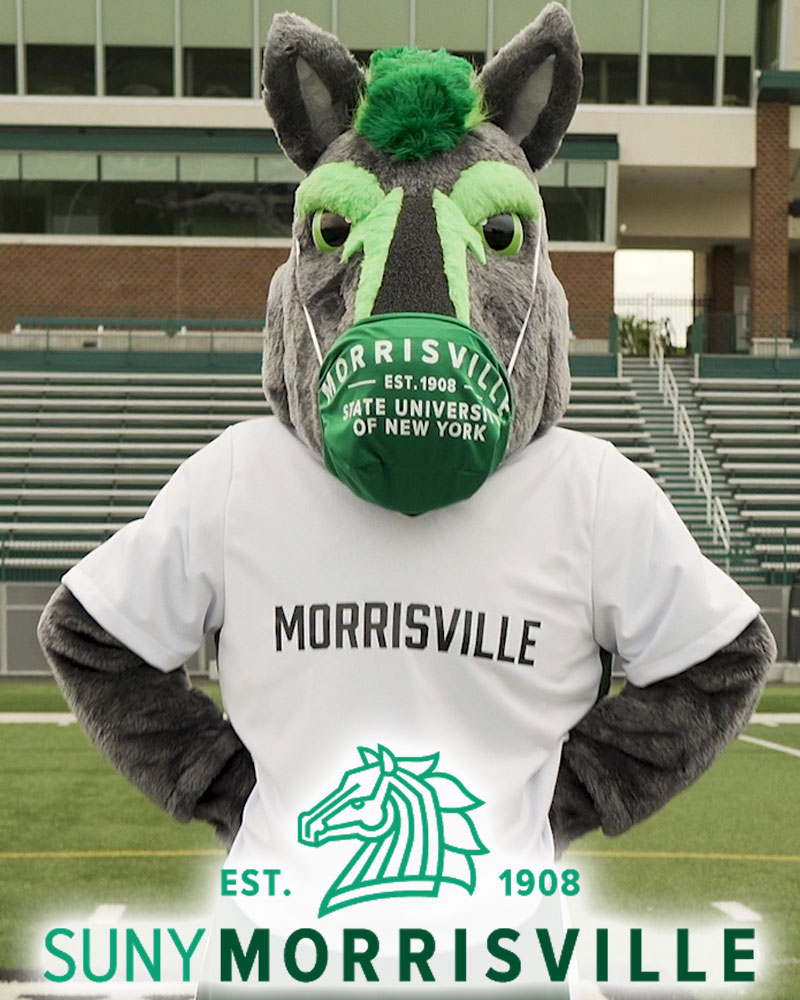 SUNY Morrisville mascot Mo Mustang