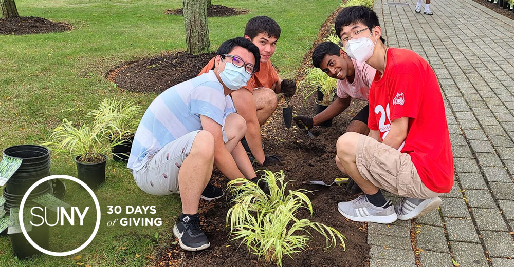 Diverse group of Stony Brook University students cleaning a flower bed along a sidewalk.