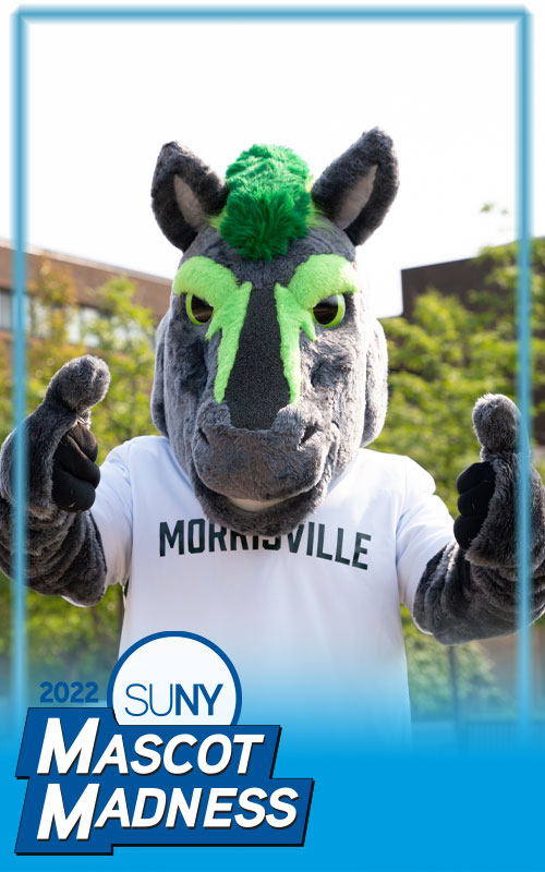SUNY Morrisville mascot Mo the Mustang
