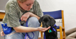 Student kneels down to feed a treat to a black Labrador Retriever puppy.
