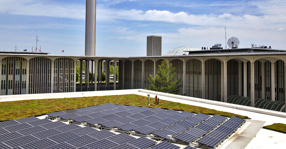 Solar panels on a roof surrounded by greenery and plants in the middle of UAlbany campus.