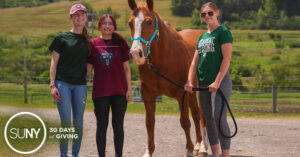 Three females with Binghamton University t-shirts on stand with a therapy horse on a gravel trail.