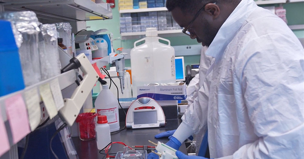 A male student helps conduct research at the RNA Institute at UAlbany.