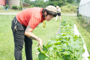 Kate Bolen inspects crops in a field at SUNY Morrisville.